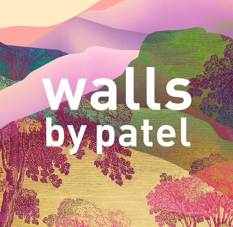 Walls by Patel 3